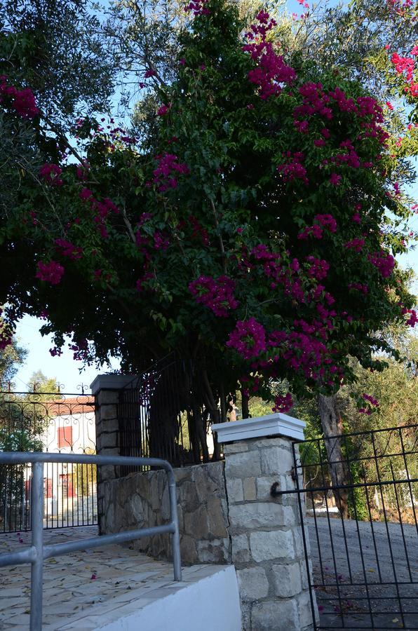 Natsios Studios Gaios Exterior photo